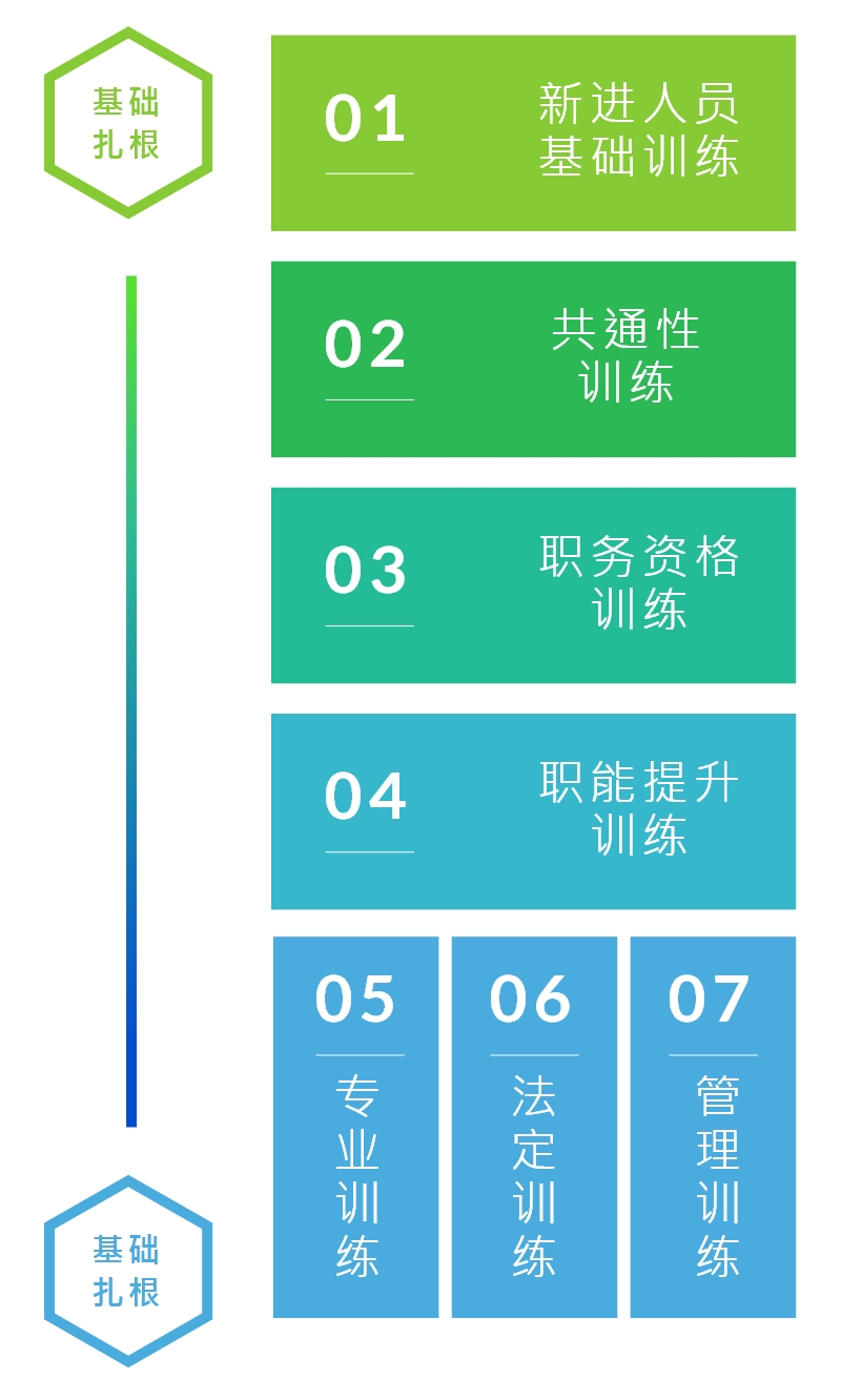 人才发展 人才发展